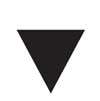 FS ViSi-black