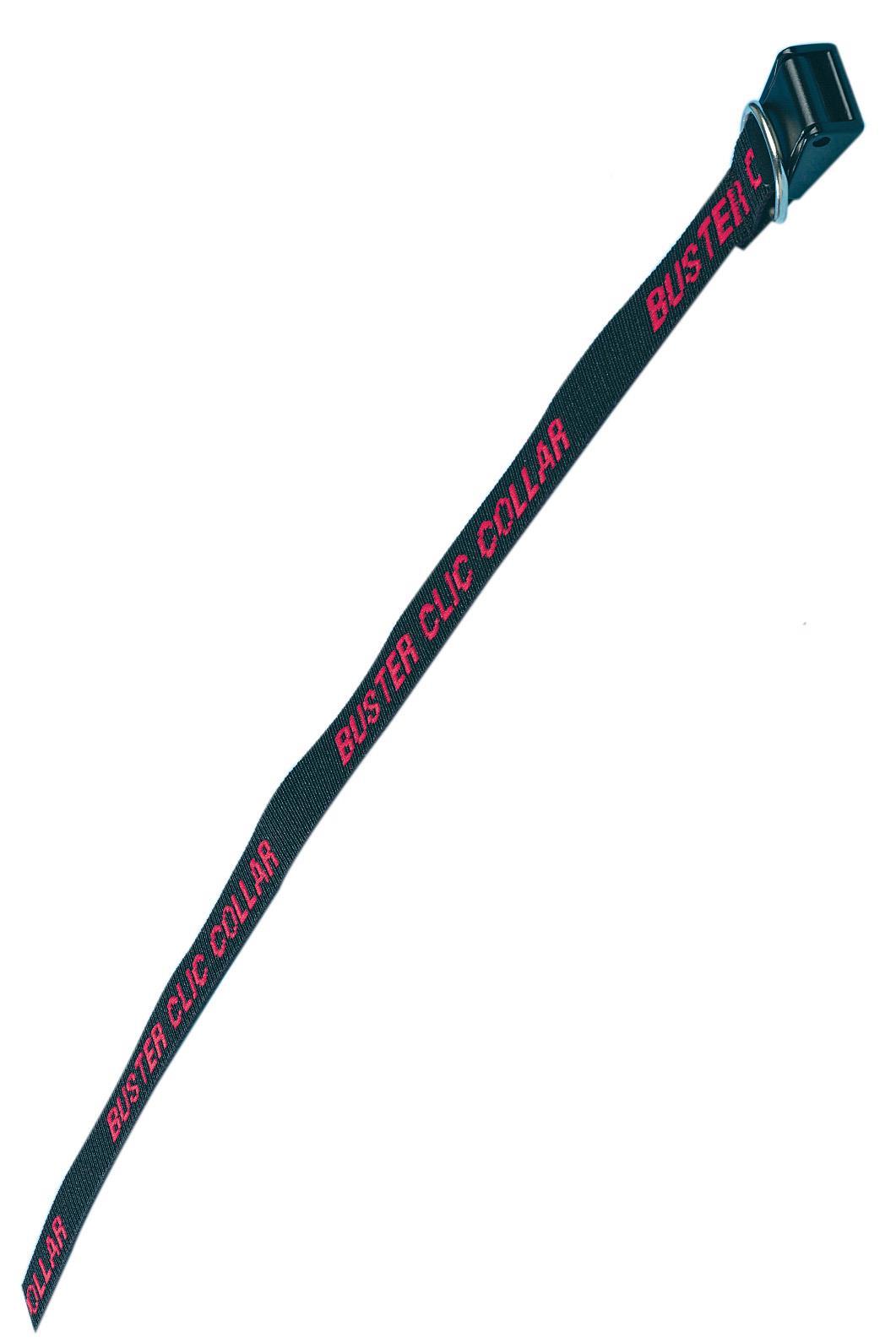 Halsriemen für 20, 25 und 30 cm, BUSTER Collar, 10 Stck. Halsriemen für 20, 25 und 30 cm, BUSTER Collar, 10 Stck.