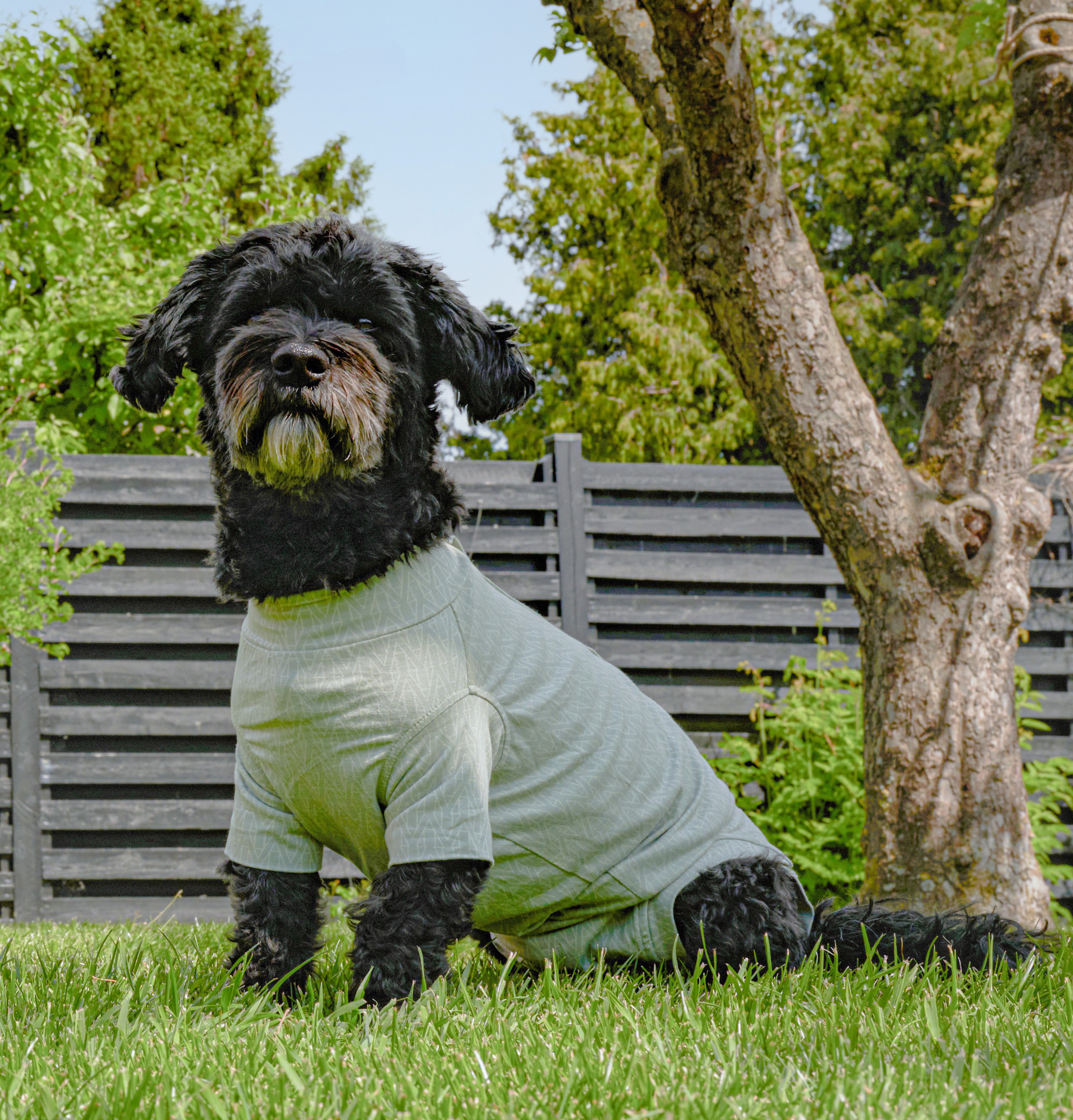 Hund, Hundekleidung, Grüne Kleidung, Outdoor, Hundeoutfit