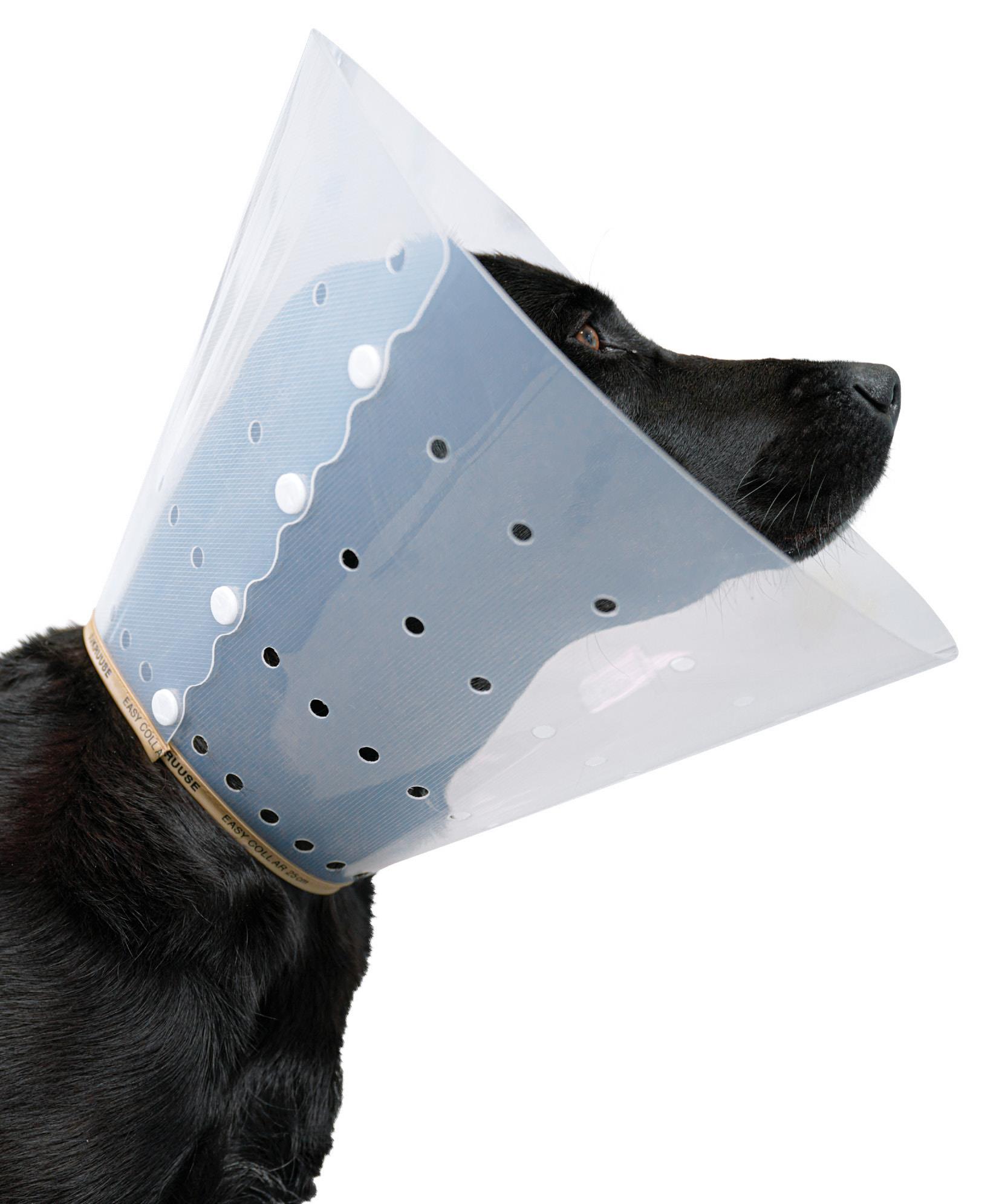BUSTER Easy Collar, 7,5 cm, 5 Stück BUSTER Easy Collar, 7,5 cm, 5 Stück