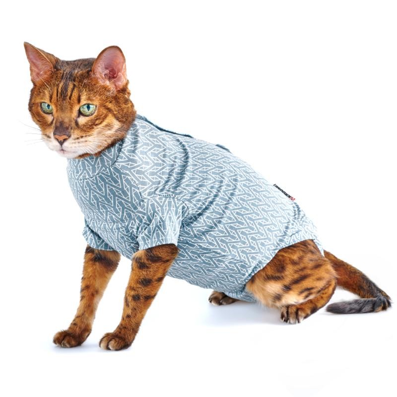 Katzenkleidung, Shirt für Katze, Kleider für Katze, Katzentaugliche Kleidung, Tierkleidung, Katzenkleid, Katzenoberteil, Katzenkleidungsstück, Haustierkleidung, Katzentop, Katzenkleidung, Hals-/Körpershirt, Papiertier, Wendbares Muster, Modische Katzen-We