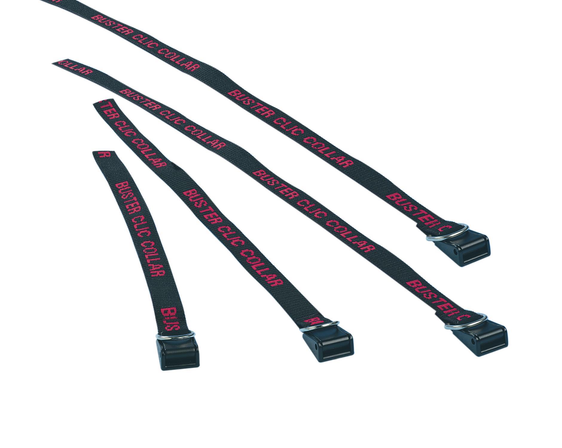 Halsriemen für 20, 25 und 30 cm, BUSTER Collar, 10 Stck. Halsriemen für 20, 25 und 30 cm, BUSTER Collar, 10 Stck.