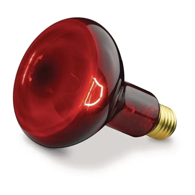 Glühlampe, Rot, Birne, Lampenkörper, Schraubanschluss