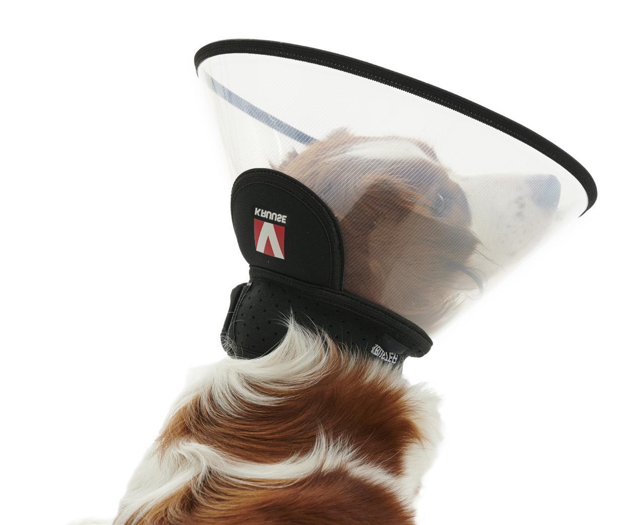 BUSTER Complete Collar Halskragen 7.5 cm, 5 Stück BUSTER Complete Collar Halskragen 7.5 cm, 5 Stück